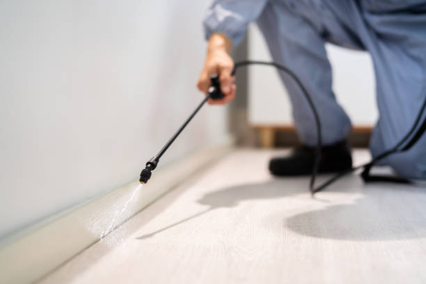 Licensed Termite Control service in DeWitt, IA - Nex Pest Control