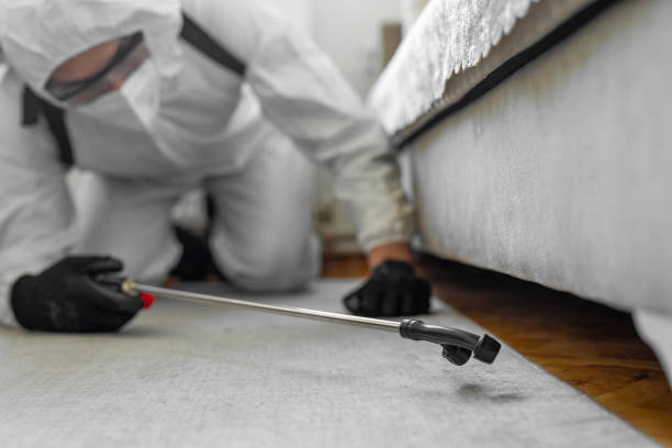 Professional Termite Control technician working in DeWitt, IA