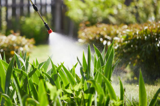 24/7 Emergency Termite Control experts in DeWitt, IA
